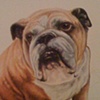 Maggie