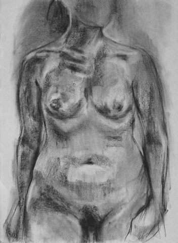 charcoal drawing on paper nude drawing torso by painter Christina Renfer Vogel