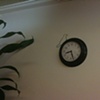 Berkeley Acupuncture Project