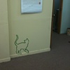 Berkeley Acupuncture Project