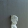 chrysalis