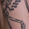 Social Distortion