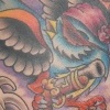 Pirate swallows