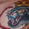Panther 