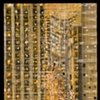 City Darshan Series 2011