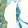 2007