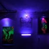 Black-light Room 2007