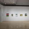 Nine Lives: Charles Irvin. Exhibition at the Hammer Museum, Los Angeles, 2009; photo by Joshua White