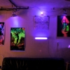 Black-light Room 2007
