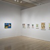 Nine Lives: Charles Irvin. Exhibition at the Hammer Museum, Los Angeles, 2009; photo by Joshua White
