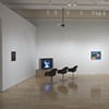 Nine Lives: Charles Irvin. Exhibition at the Hammer Museum, Los Angeles, 2009; photo by Joshua White