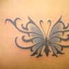 butterfly2