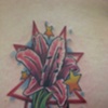 flower star
