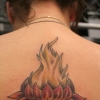 lotus