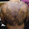 Outline