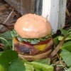 Using a Burger to Your Advantage