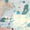PN 005