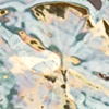 PN 003