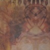 Under the Crown Chakra