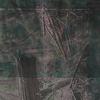 Den of Muir 5