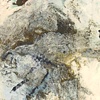 PN 023