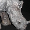 Rhino 