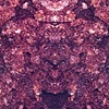 Digital Photography 