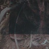 Den of Muir 2