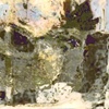 PN 029