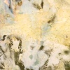 PN 007