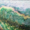 Landscape 1