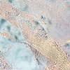 PN 004