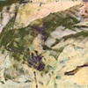 PN 008