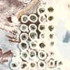 PN 030