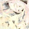 PN 012