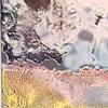 PN 020