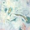 PN 015