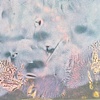 PN 021
