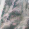 Tree River 1
