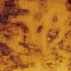 Fresco