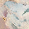PN 010