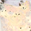 PN 025