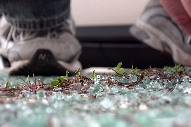 MICROPHOTO