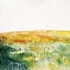 Prarie