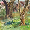 Arnold Arboretum
