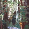 Bigfoot Country, California