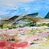 New Mexico Mountains and Field