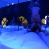 Victory II Installation