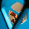 Closet Victory, Detail
