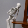 Vanitas Vanity